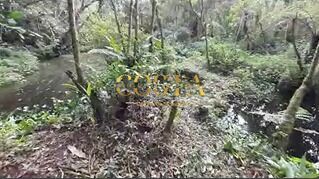 Chácara, 3 quartos, 4950 m² - Foto 29