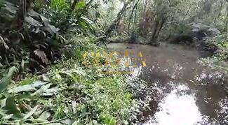 Chácara, 3 quartos, 4950 m² - Foto 2