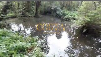 Chácara, 3 quartos, 4950 m² - Foto 31