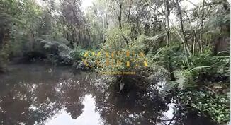 Chácara, 3 quartos, 4950 m² - Foto 32