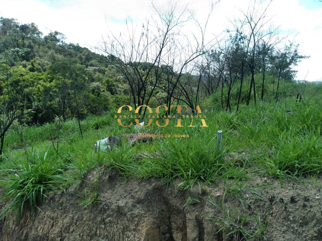 Terreno, 1000 m² - Foto 5