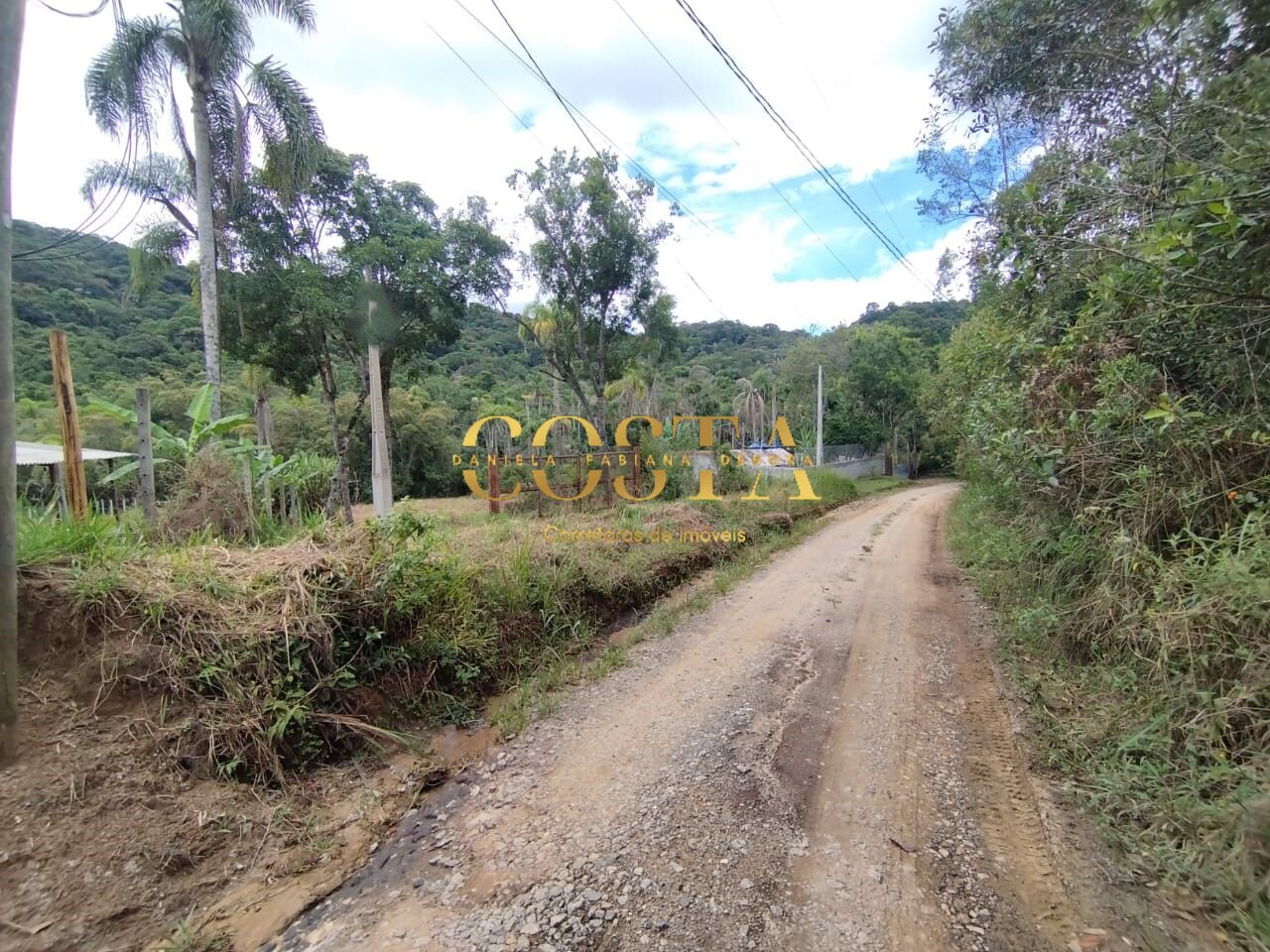 Terreno à venda, 2000m² - Foto 4