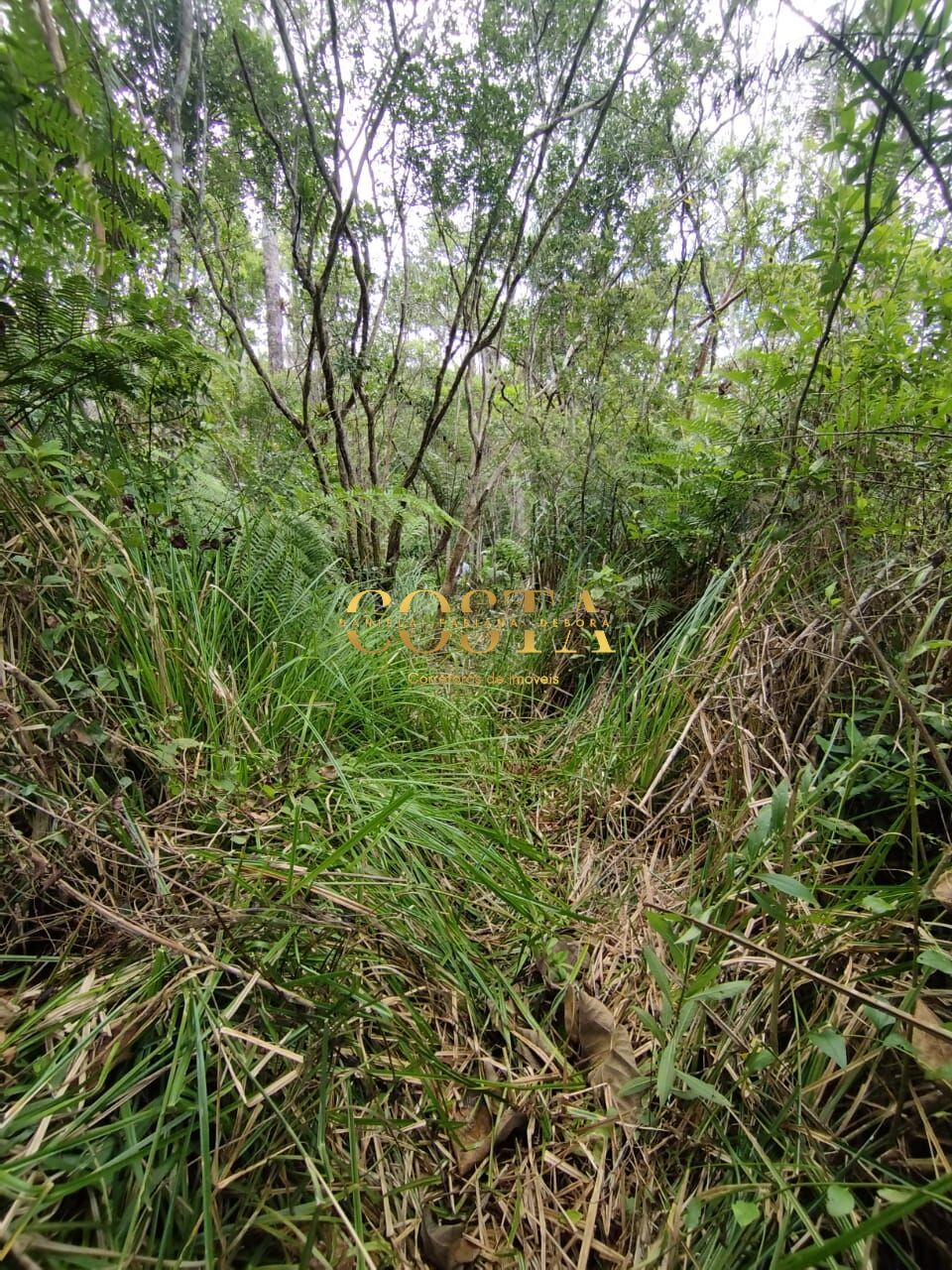 Terreno à venda, 2000m² - Foto 12