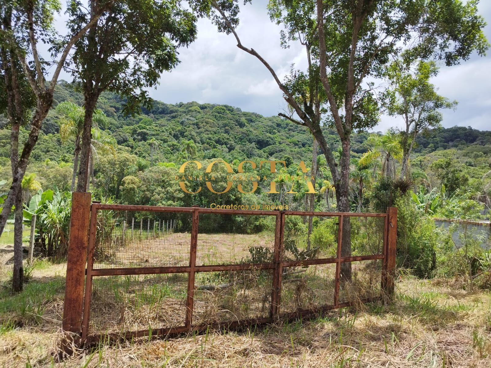 Terreno à venda, 2000m² - Foto 2