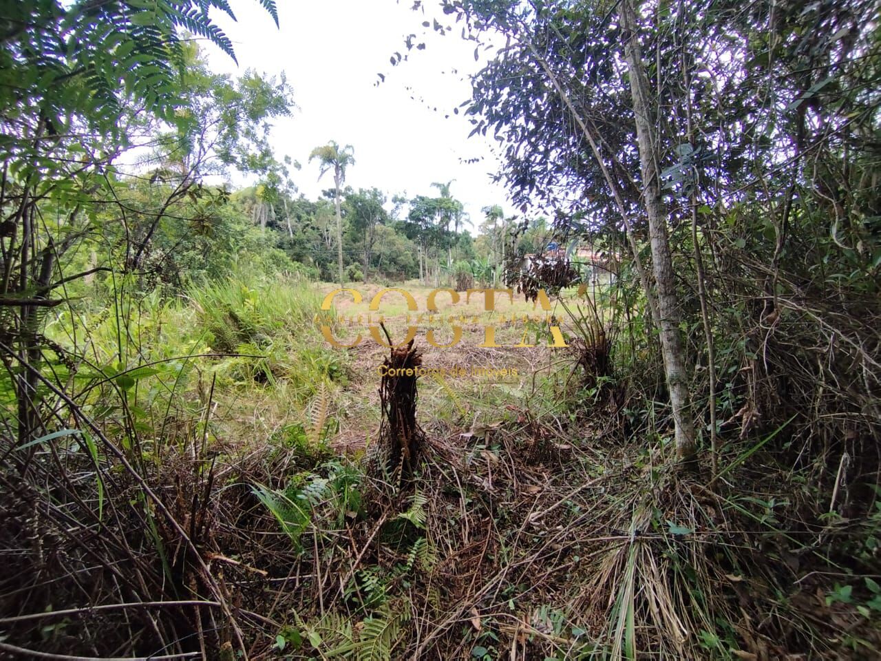 Terreno à venda, 2000m² - Foto 11