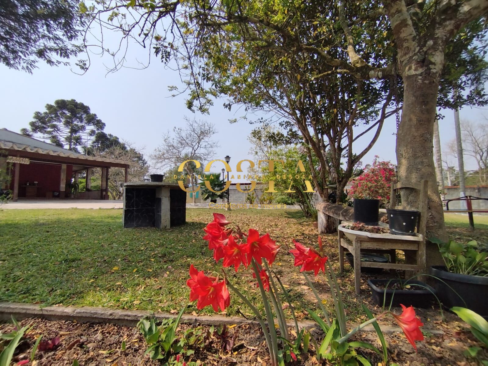 Chácara, 3 quartos, 2000 m² - Foto 2