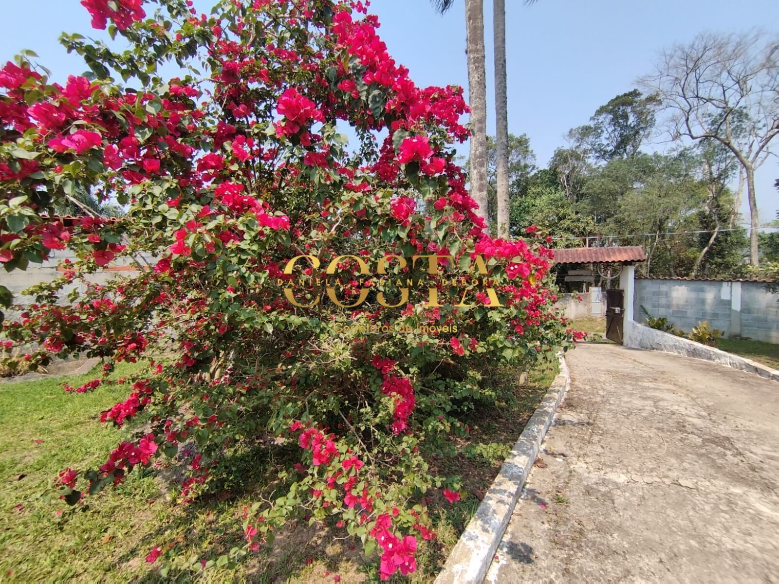 Chácara, 3 quartos, 2000 m² - Foto 3