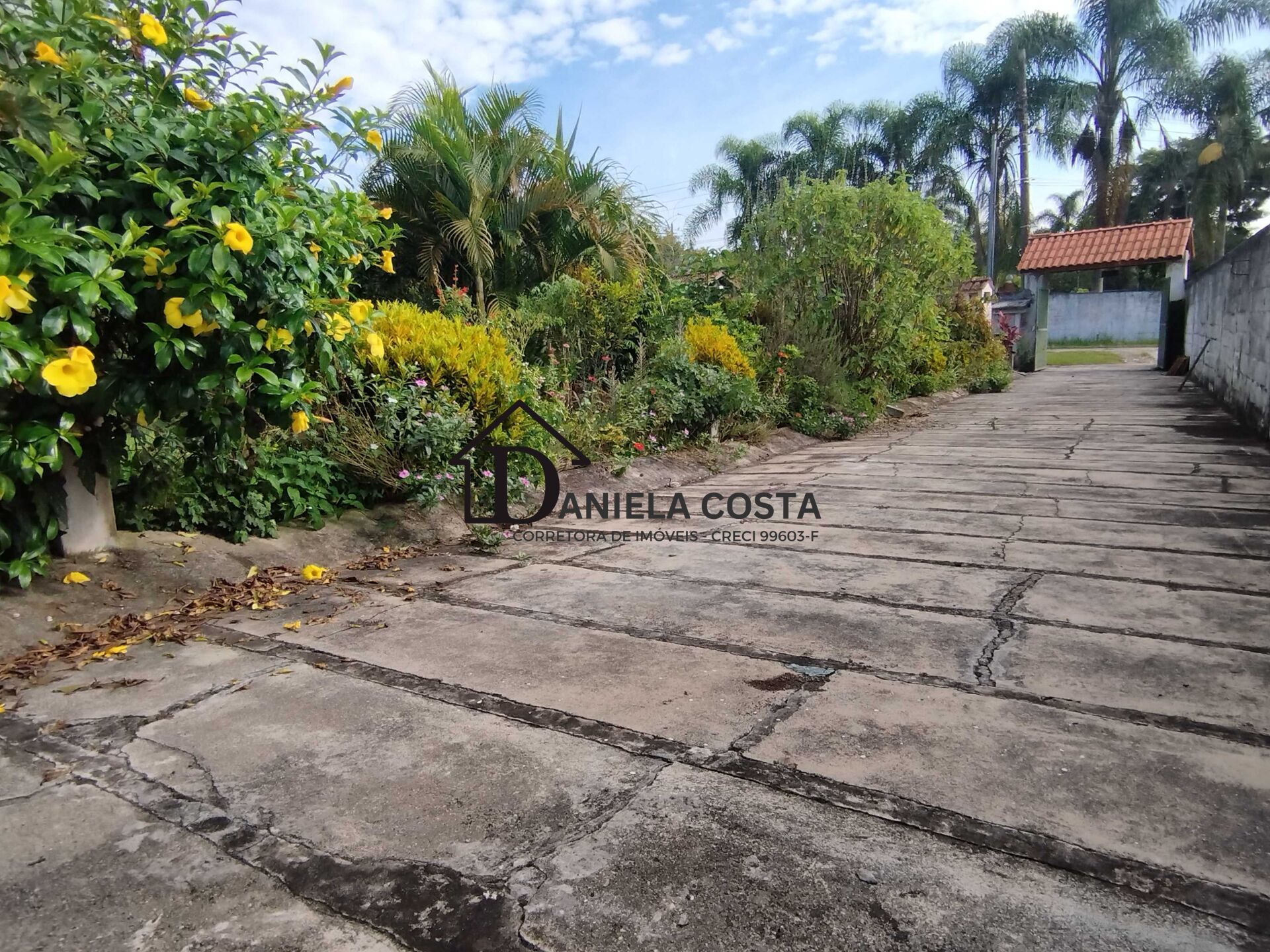 Fazenda à venda com 3 quartos, 900m² - Foto 31