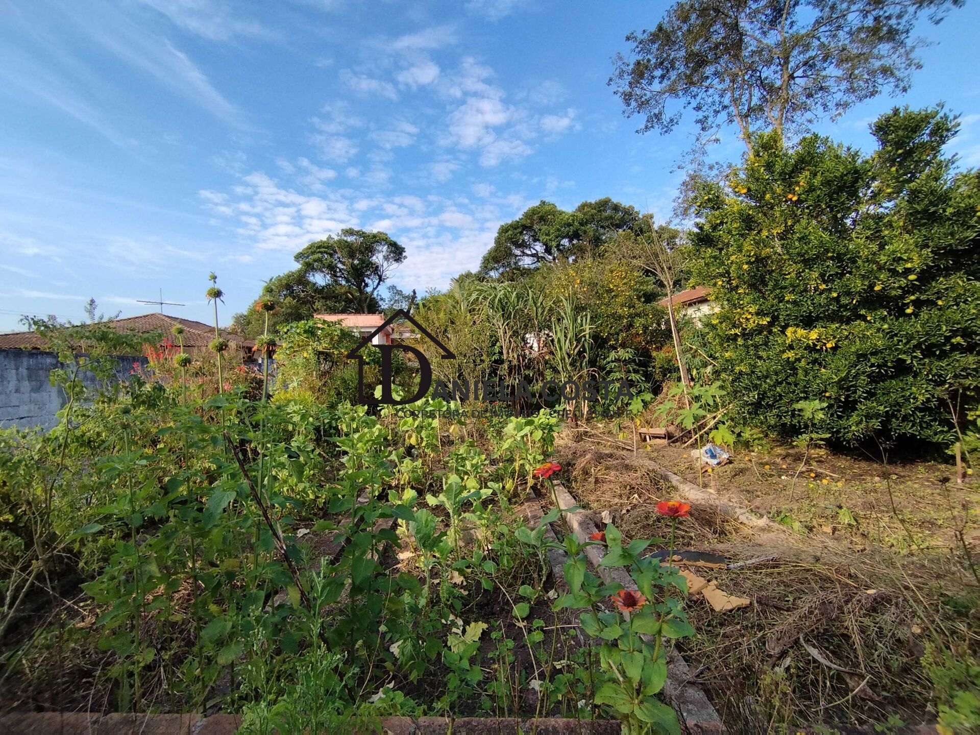 Fazenda à venda com 3 quartos, 900m² - Foto 37