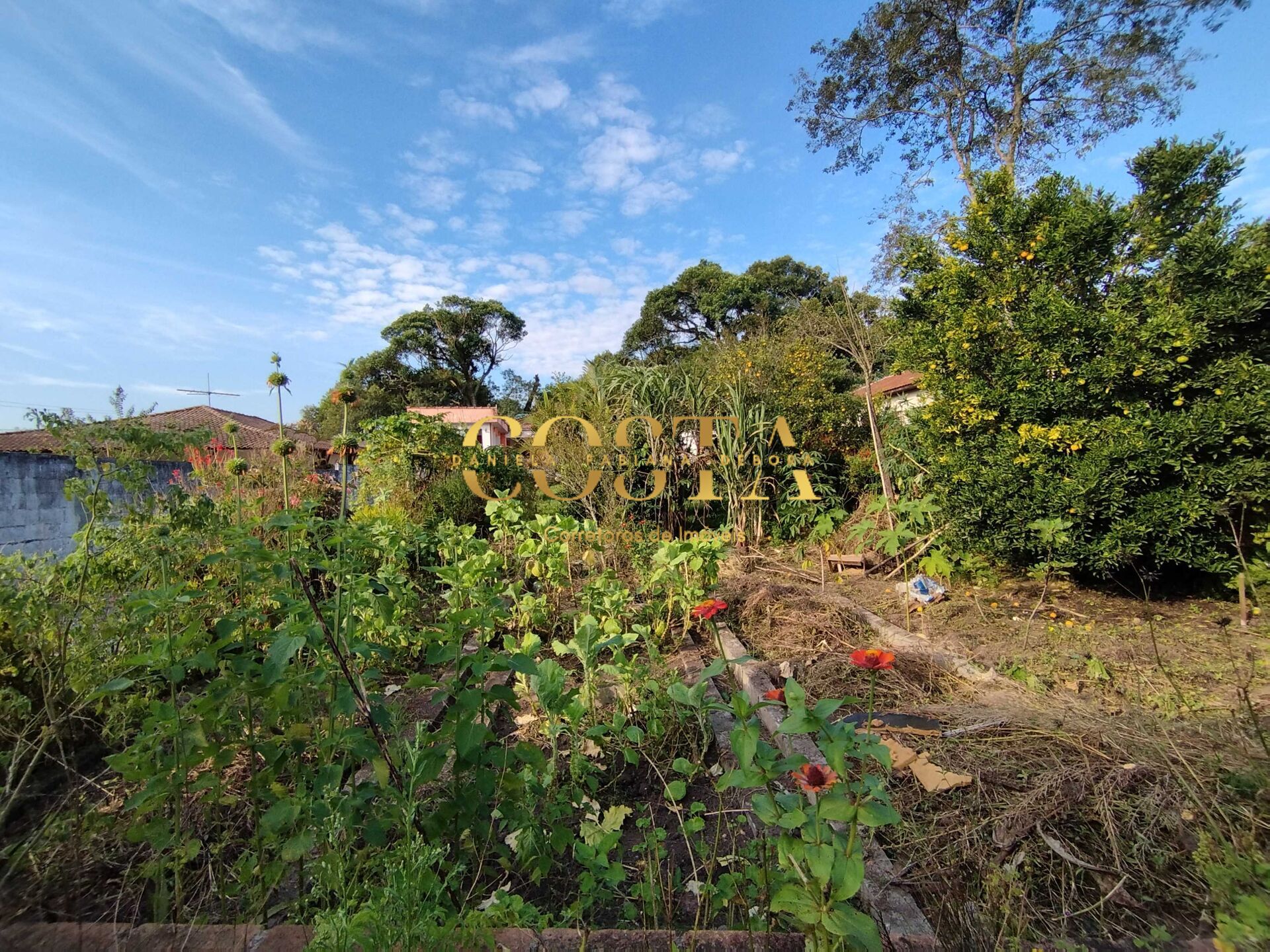 Fazenda à venda com 3 quartos, 900m² - Foto 37