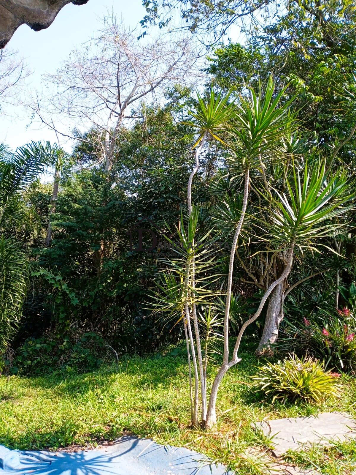 Fazenda à venda com 3 quartos, 2141m² - Foto 20