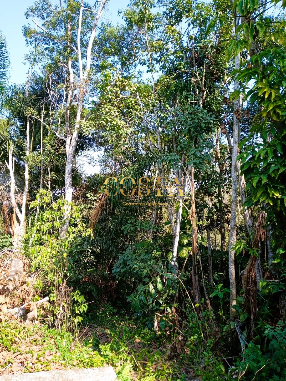 Fazenda à venda com 3 quartos, 2141m² - Foto 20