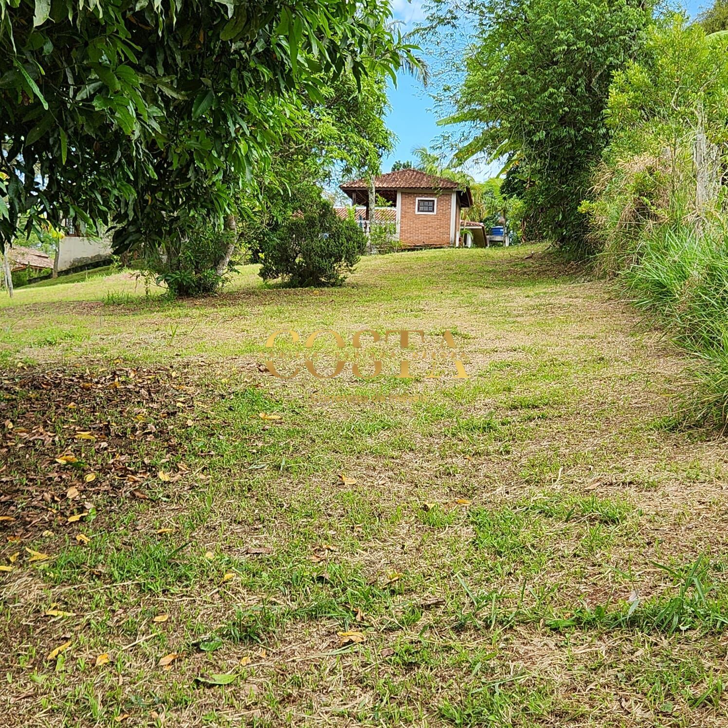 Fazenda à venda com 3 quartos, 5425m² - Foto 7