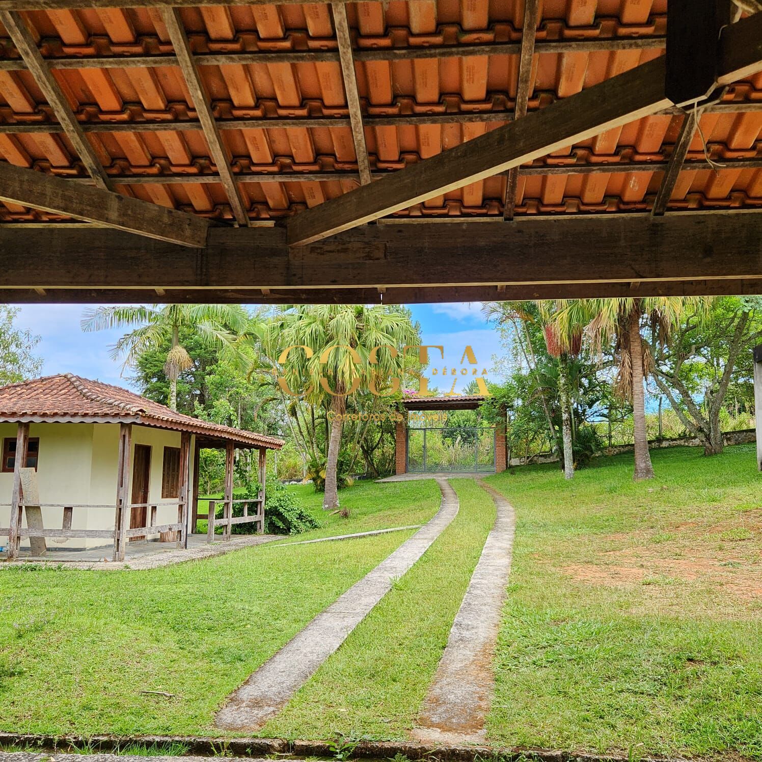 Fazenda à venda com 3 quartos, 5425m² - Foto 4