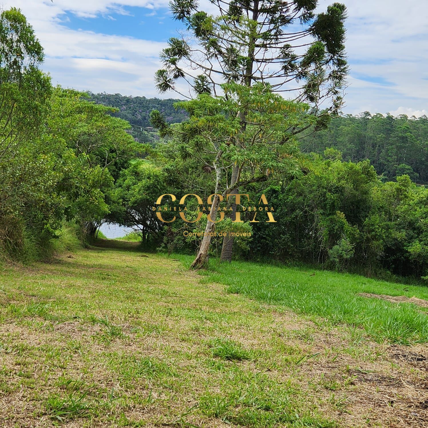 Fazenda à venda com 3 quartos, 5425m² - Foto 8