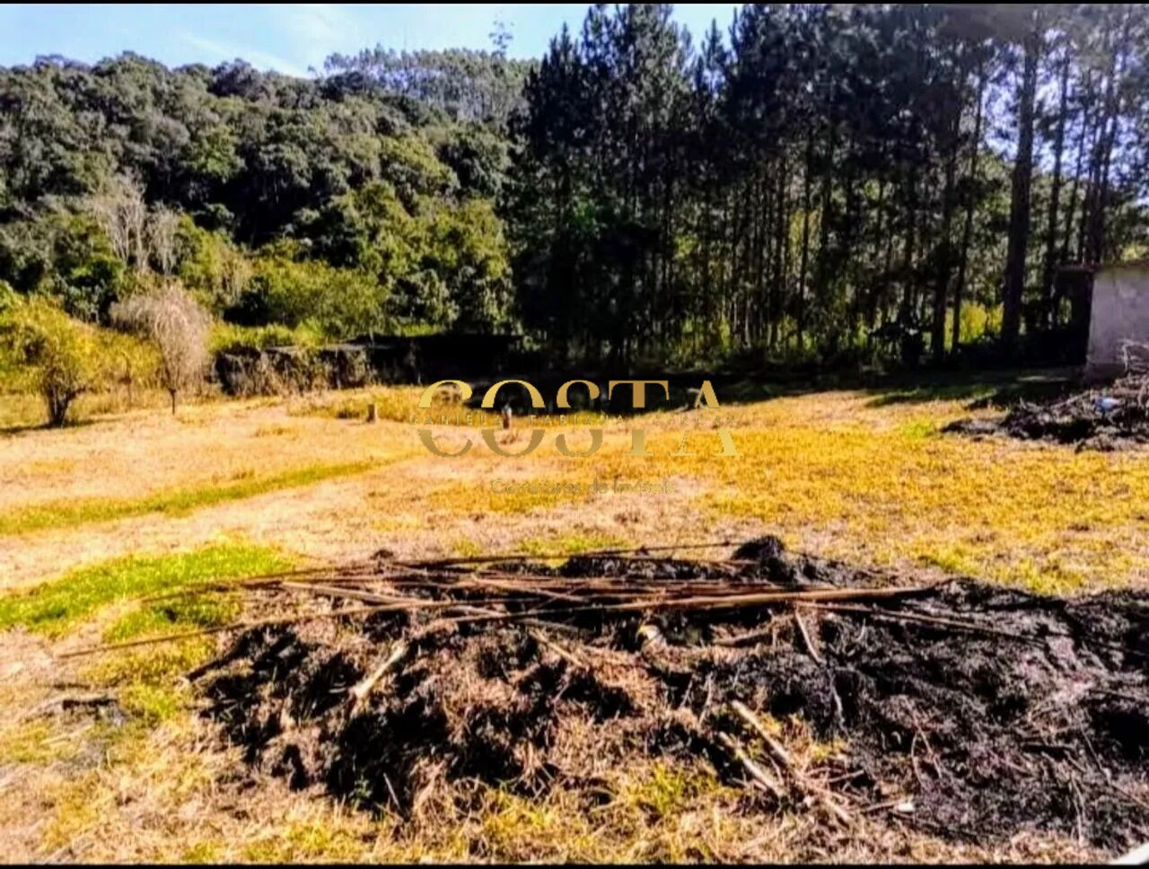 Fazenda à venda com 1 quarto, 10238m² - Foto 12