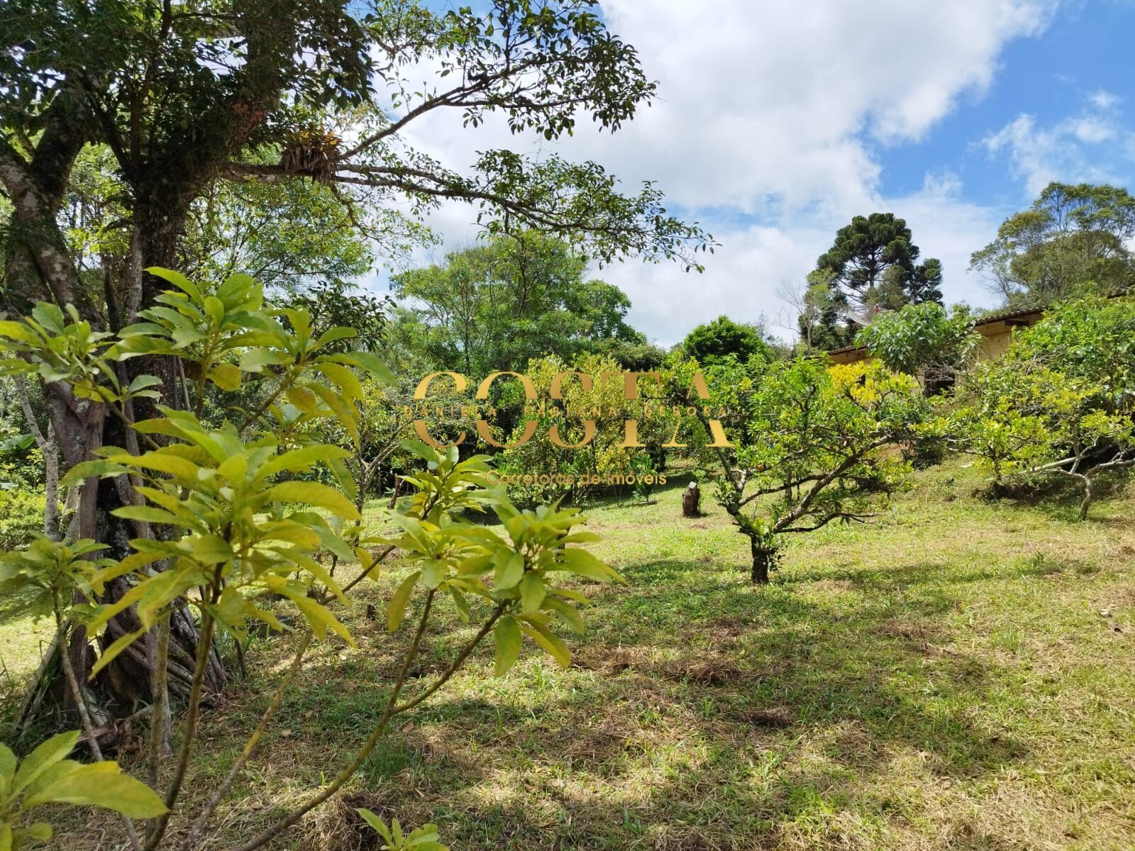 Fazenda à venda com 4 quartos, 8028m² - Foto 13