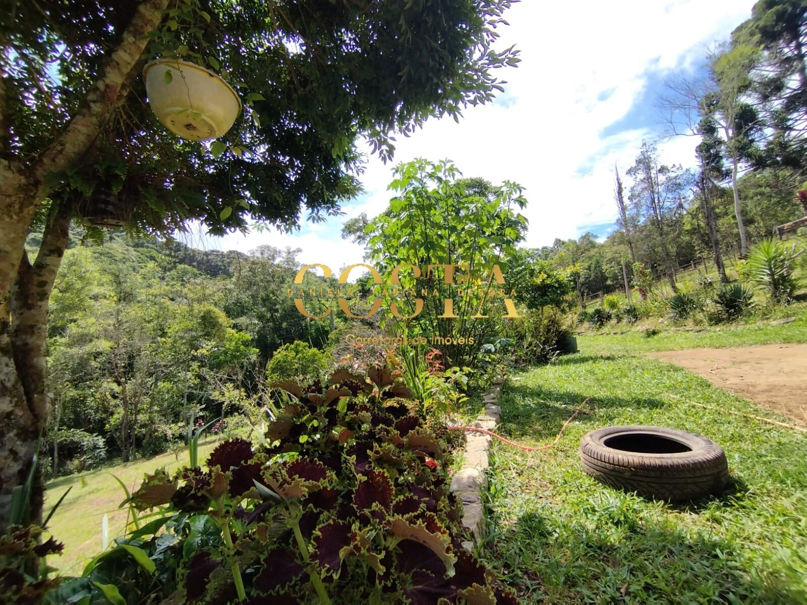 Fazenda à venda com 4 quartos, 8028m² - Foto 8