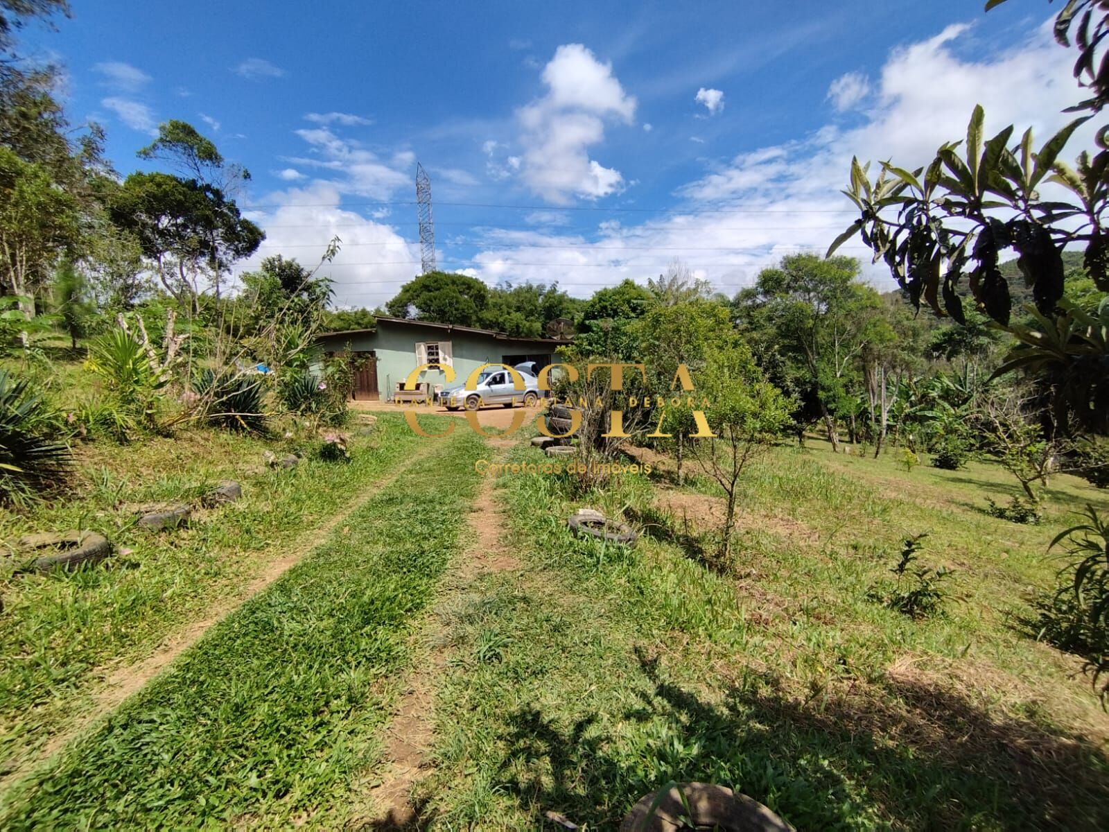 Fazenda à venda com 4 quartos, 8028m² - Foto 4