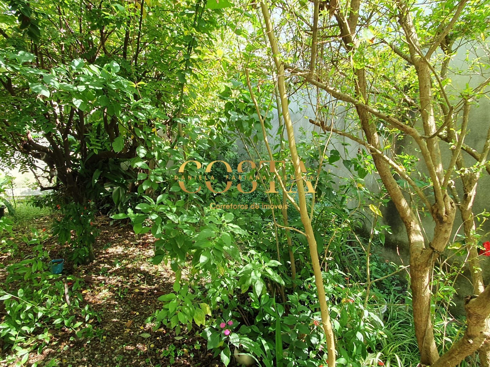 Casa, 2 quartos, 75 m² - Foto 6