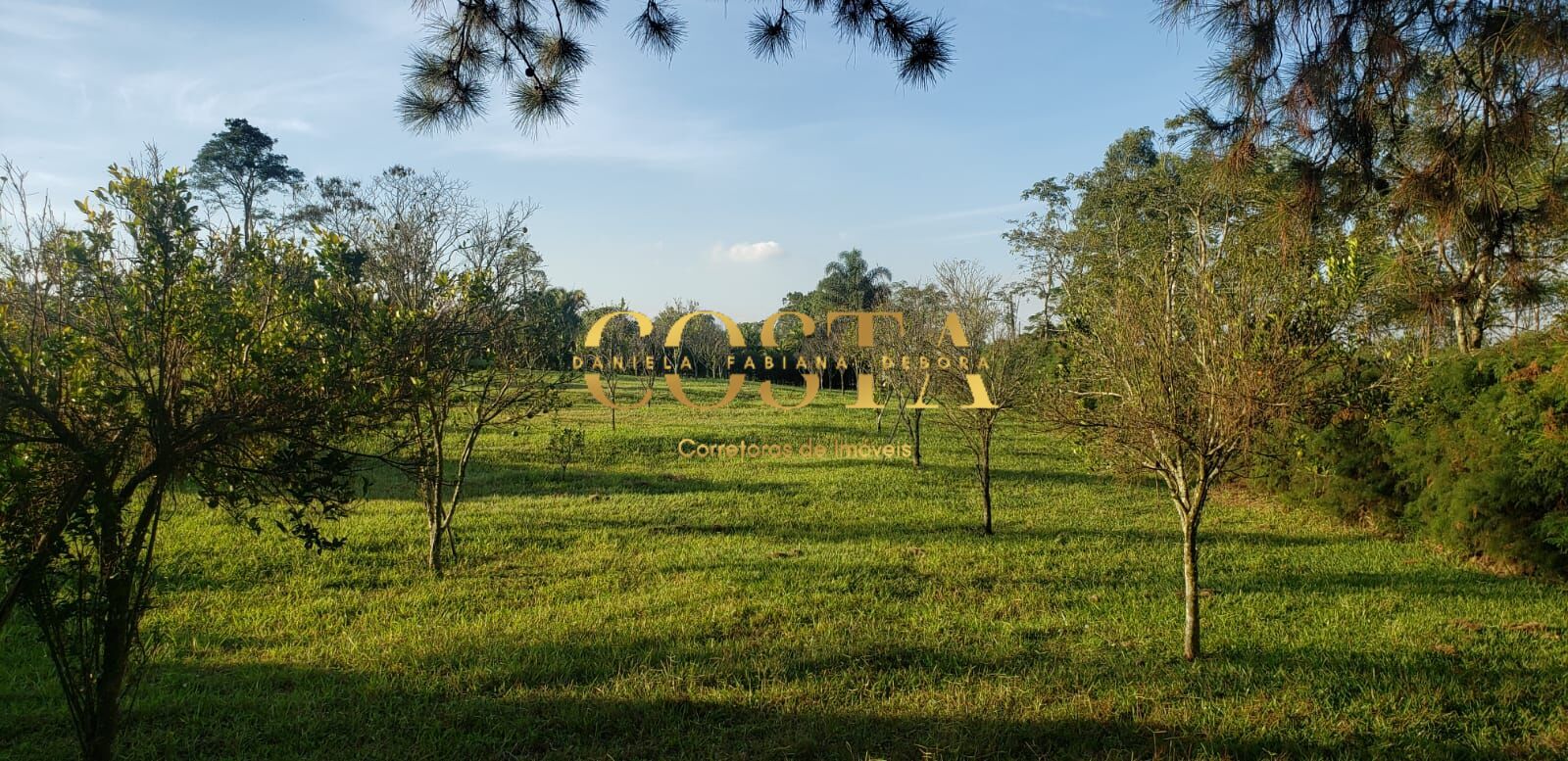 Fazenda à venda com 4 quartos, 36000m² - Foto 43