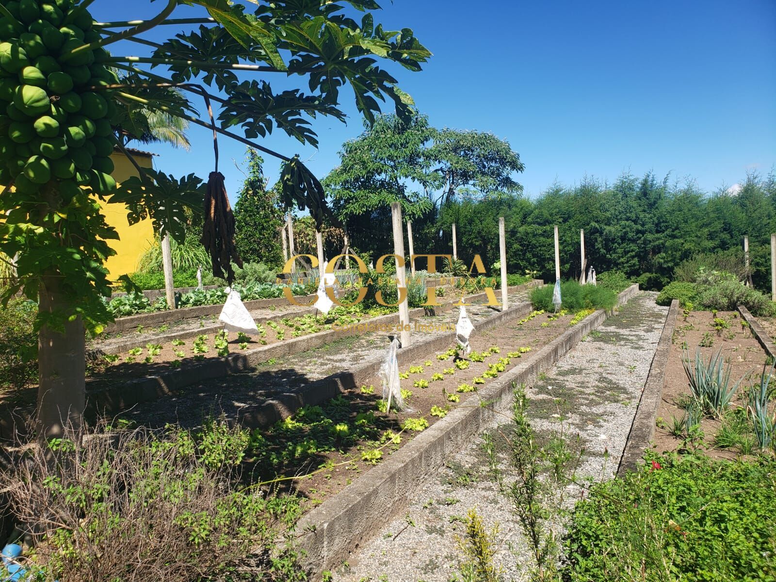 Fazenda à venda com 4 quartos, 36000m² - Foto 18