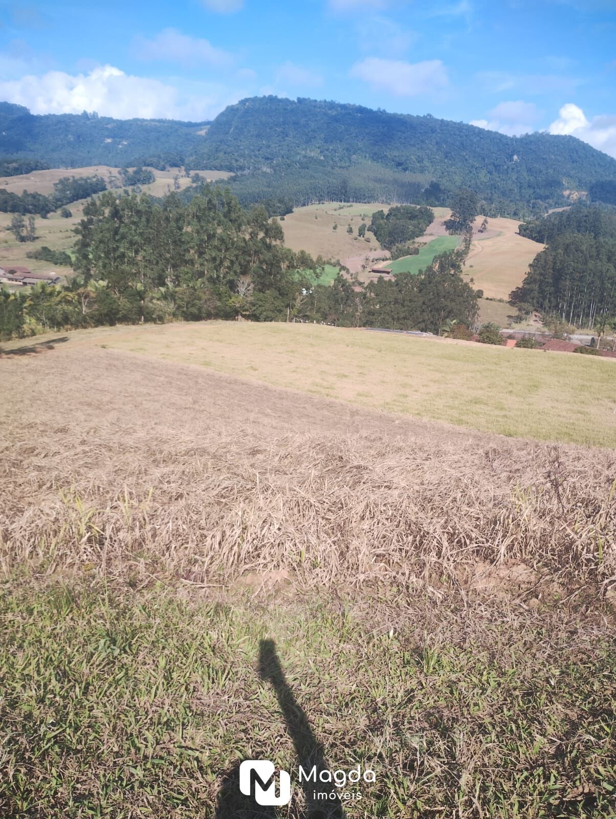Lote/Terreno de 135500m² no bairro Centro, em Presidente Getúlio | Eu Corretor