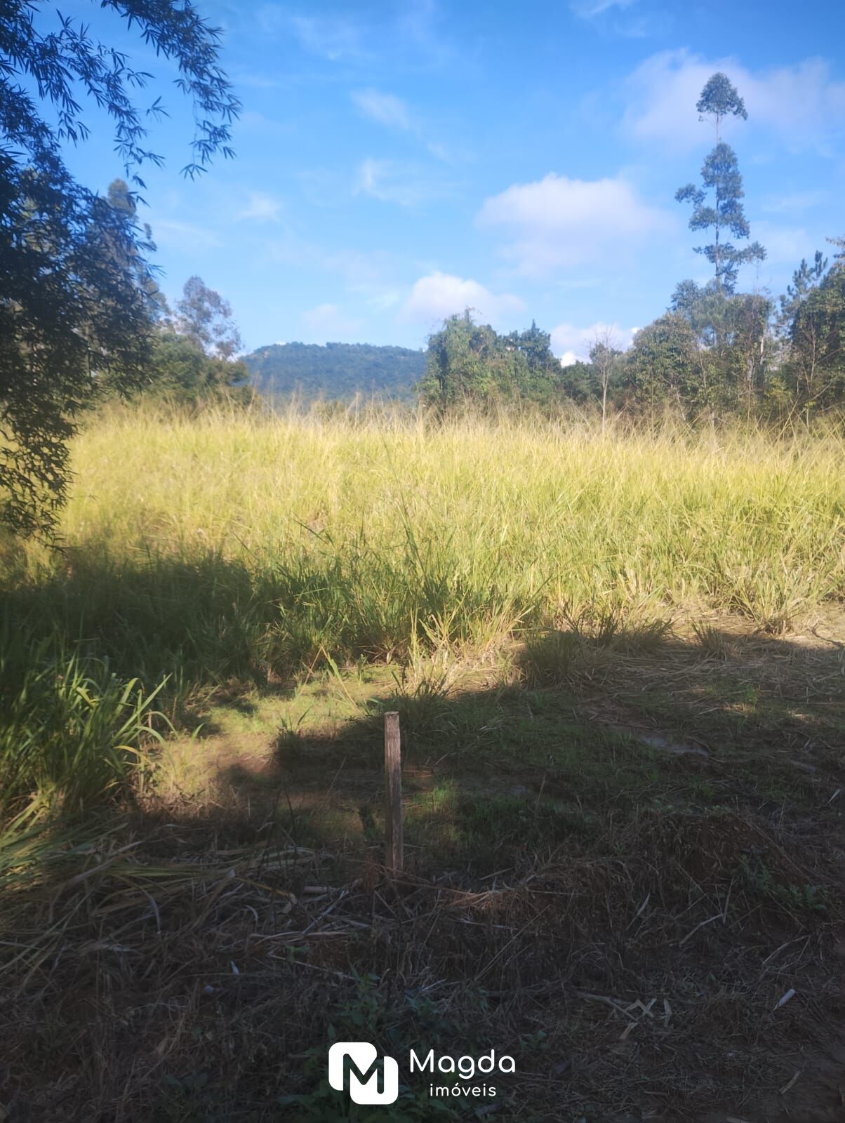 Lote/Terreno de 135500m² no bairro Centro, em Presidente Getúlio | Eu Corretor