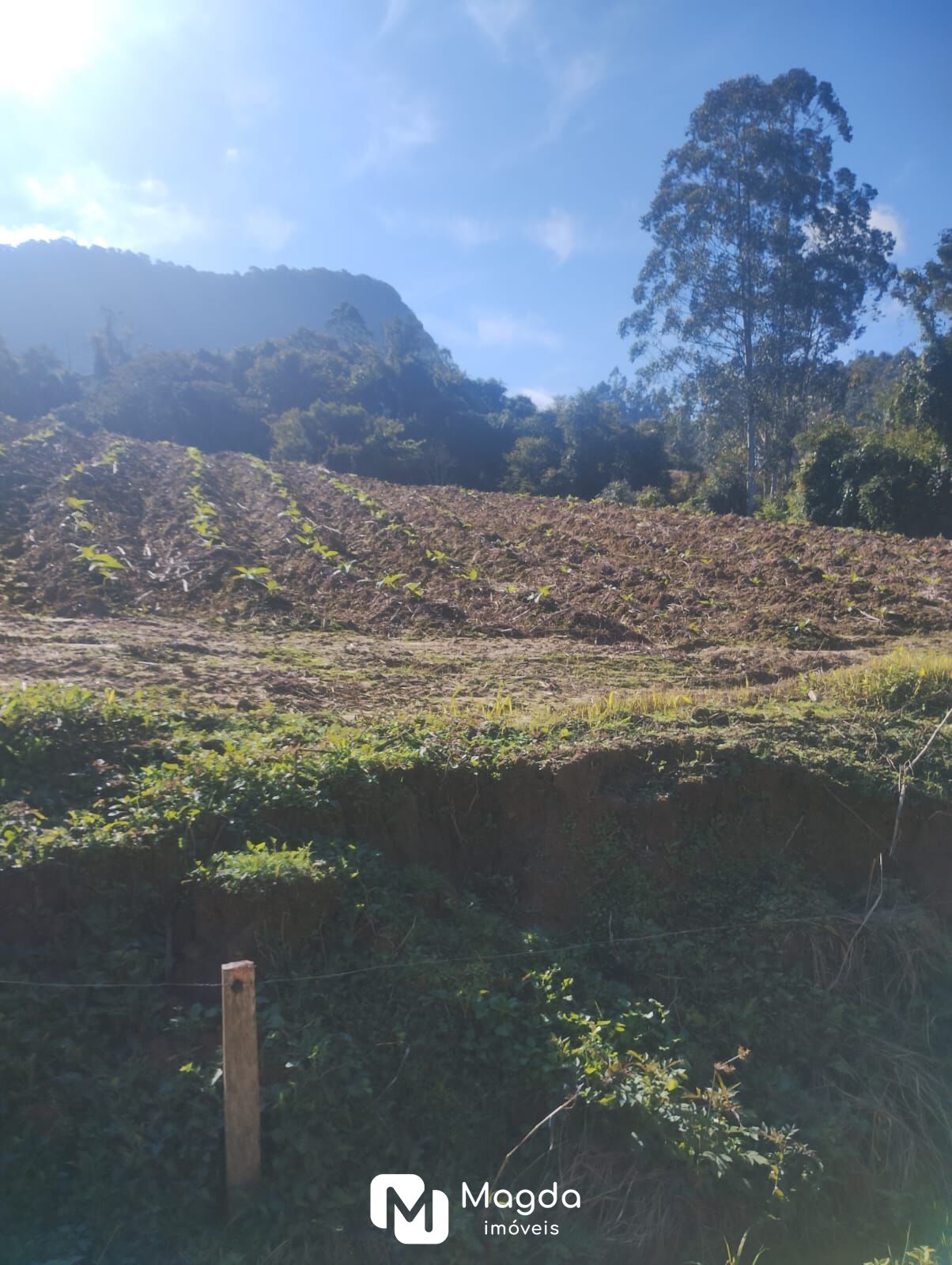 Lote/Terreno de 135500m² no bairro Centro, em Presidente Getúlio | Eu Corretor