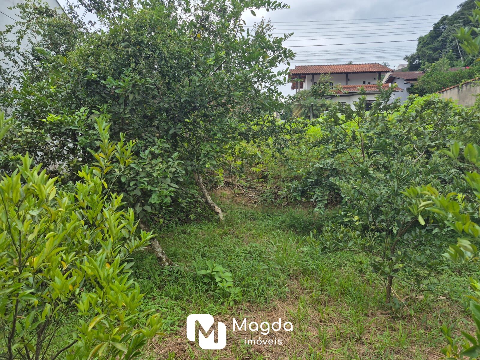 Terreno à venda, 378 m por R$ 390.000,00 - Água Verde - Blumenau/SC — foto 5