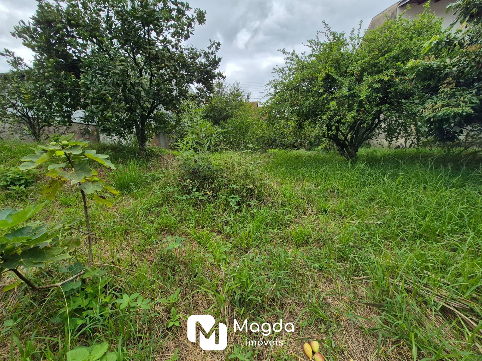 Terreno à venda, 378 m por R$ 390.000,00 - Água Verde - Blumenau/SC — foto 6