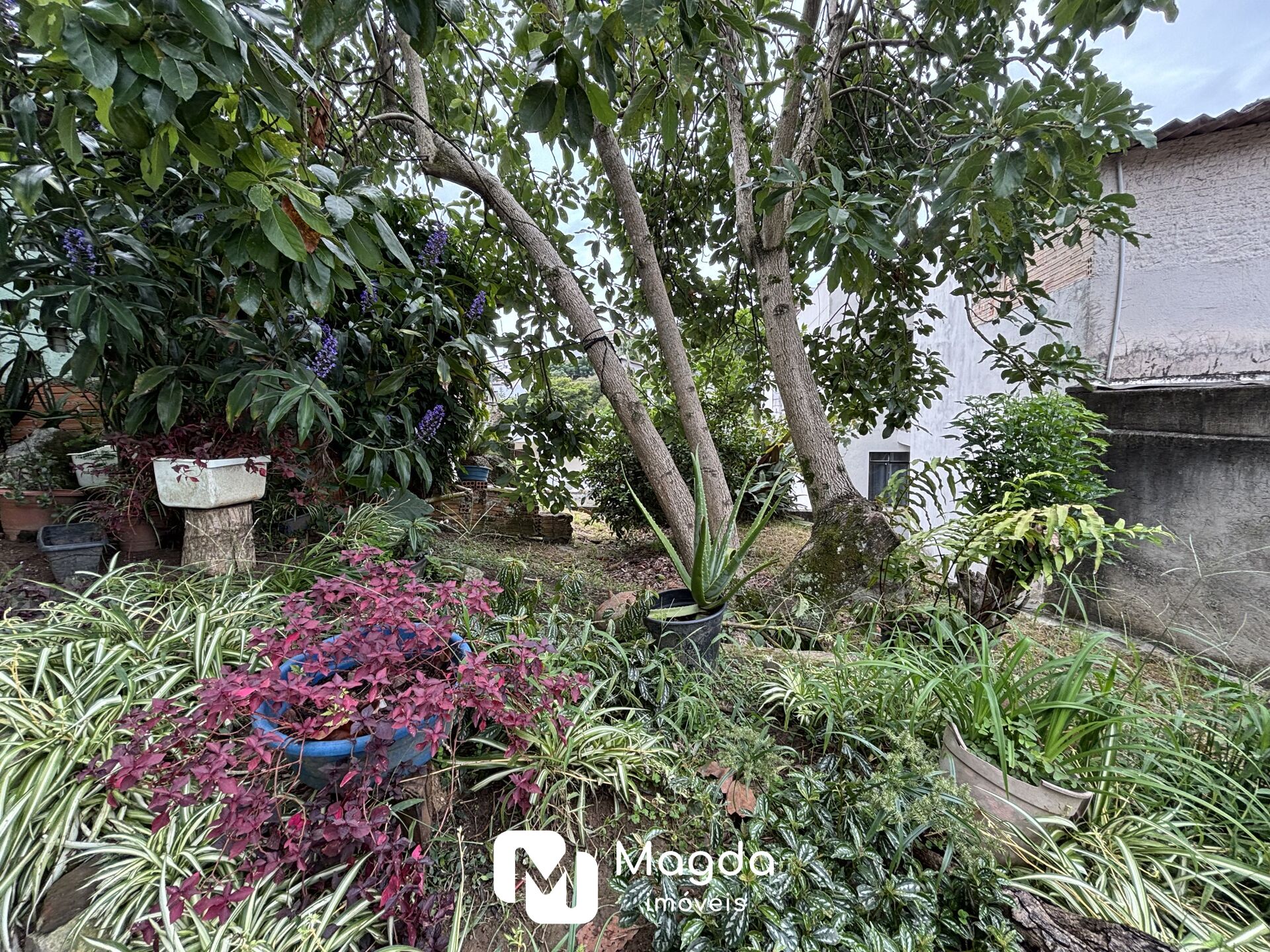 Terreno em Escola Agrícola, Blumenau/SC — foto 4