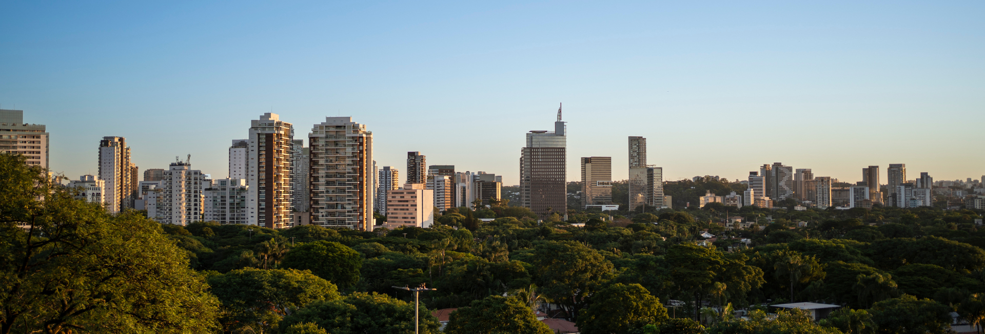 Massaneiro corretor de imoveis