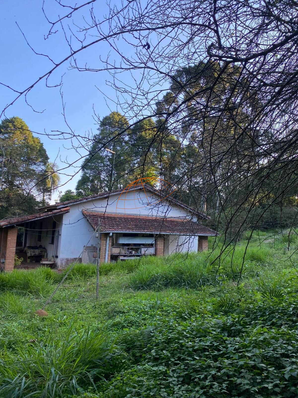 Chácara, 4 quartos, 3000 m² - Foto 7