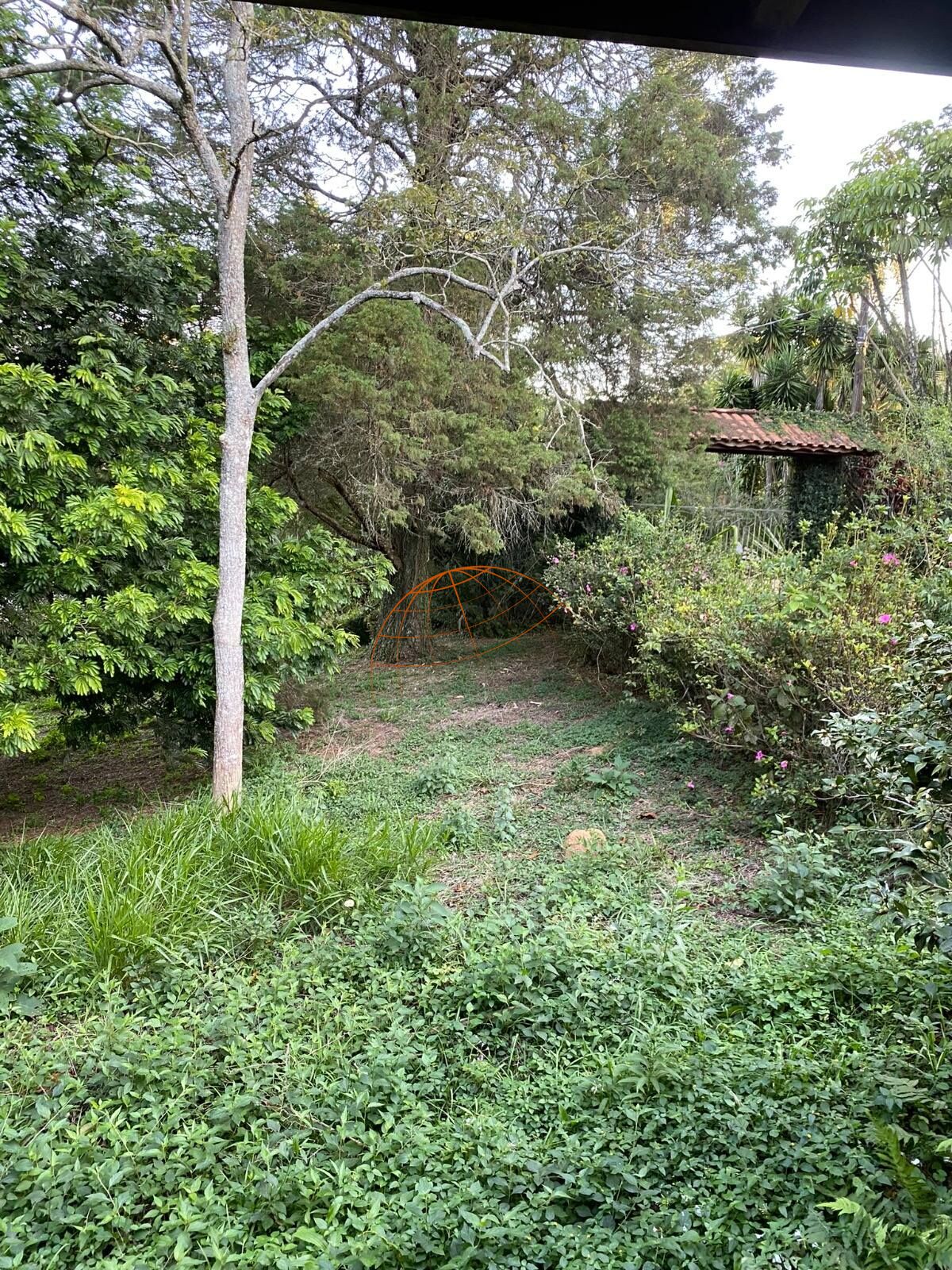 Chácara, 4 quartos, 3000 m² - Foto 2