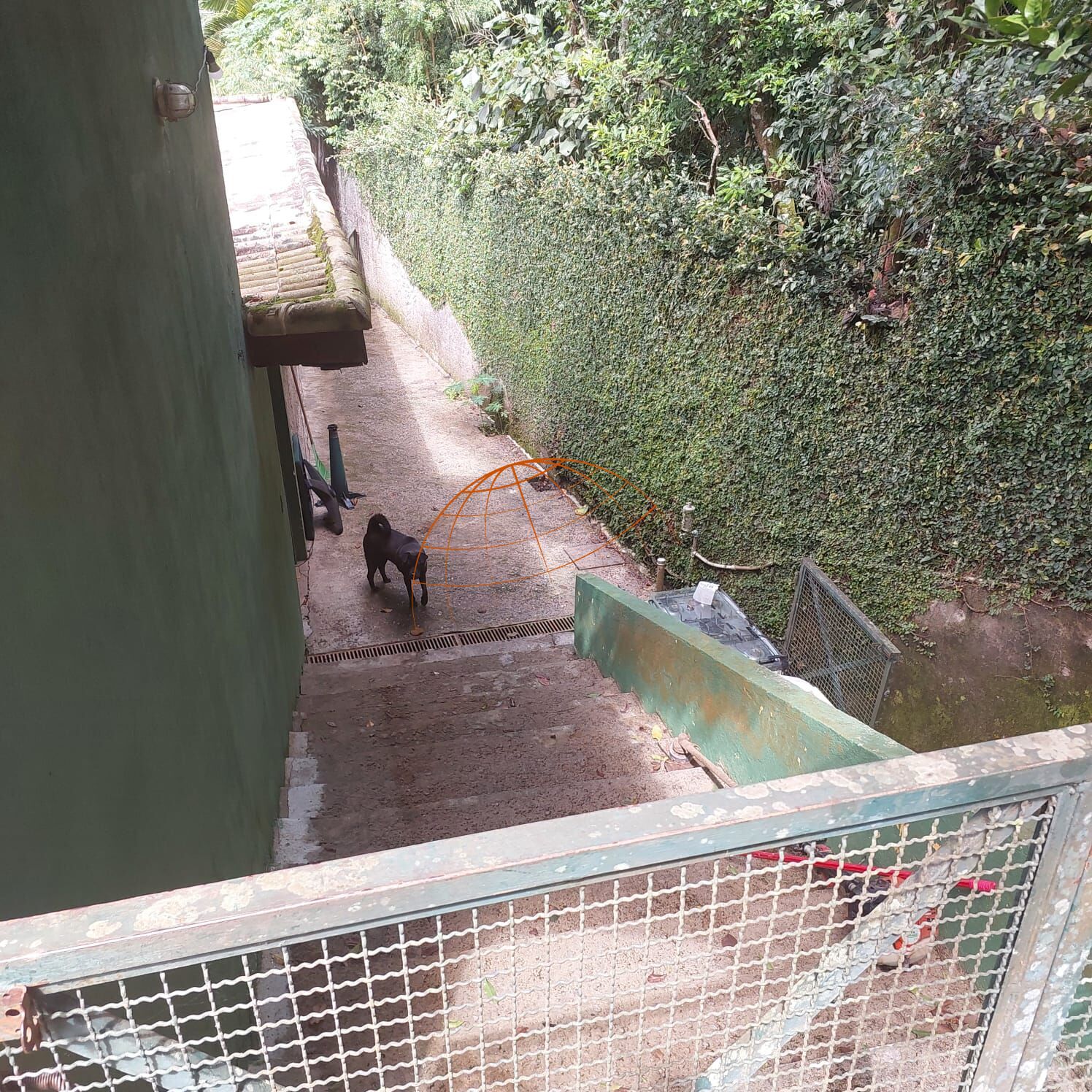 Chácara, 3 quartos, 540 m² - Foto 4