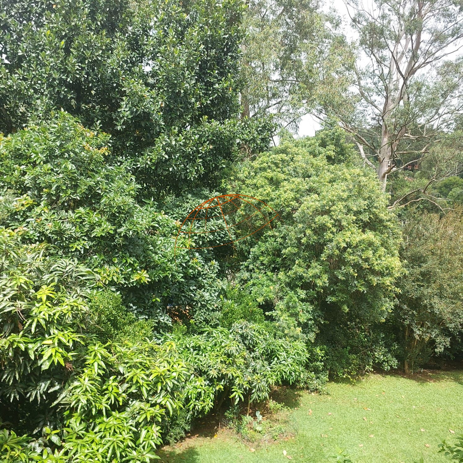 Chácara, 3 quartos, 540 m² - Foto 41