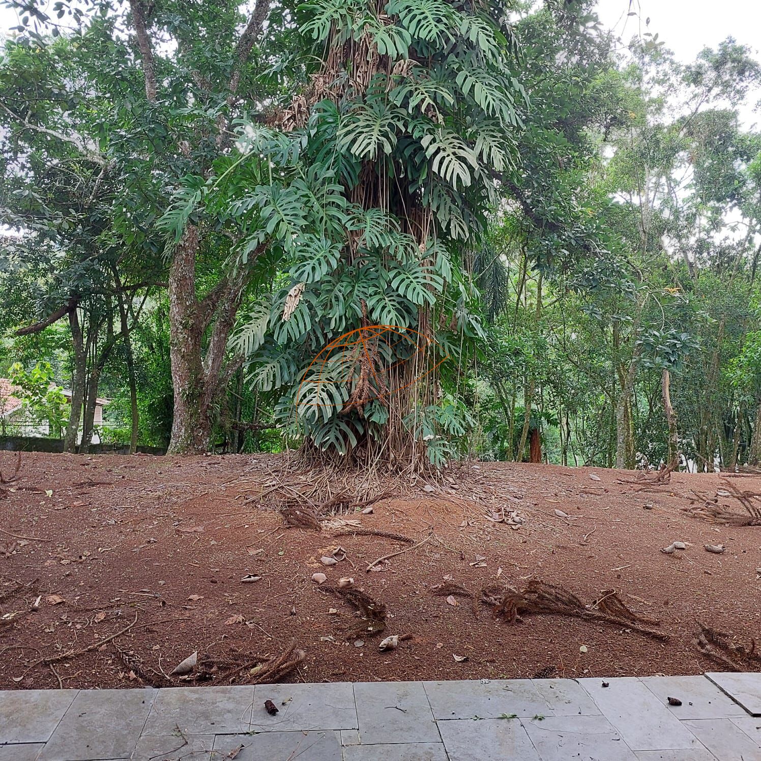 Terreno à venda, 29000m² - Foto 21