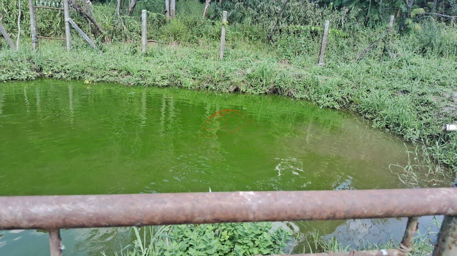 Chácara, 2 quartos, 1390 m² - Foto 17