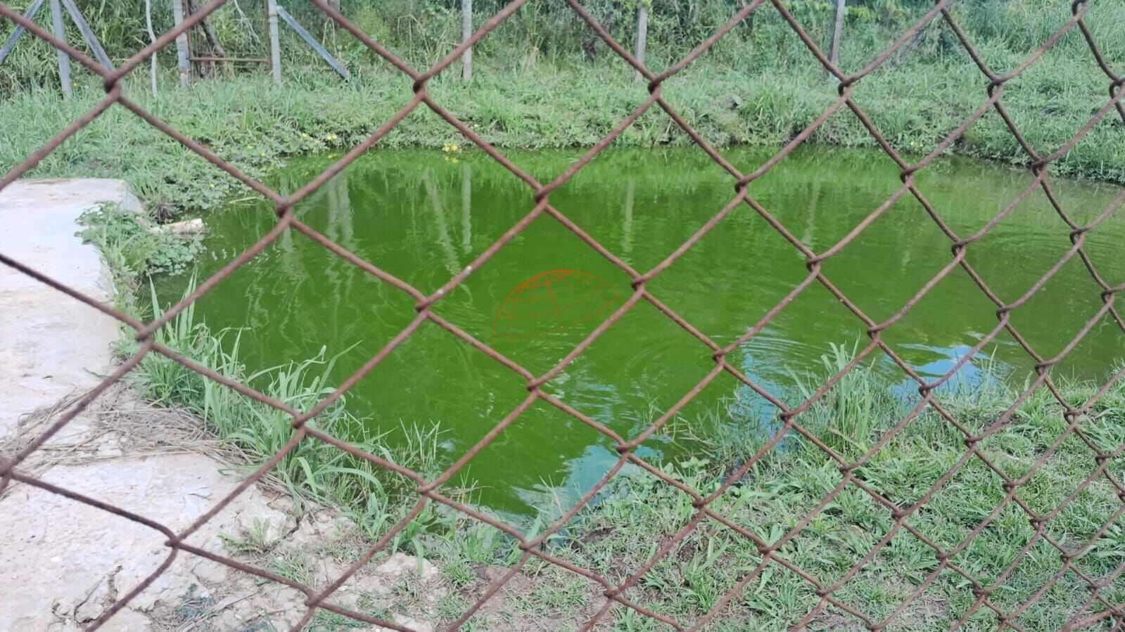 Chácara, 2 quartos, 1390 m² - Foto 15