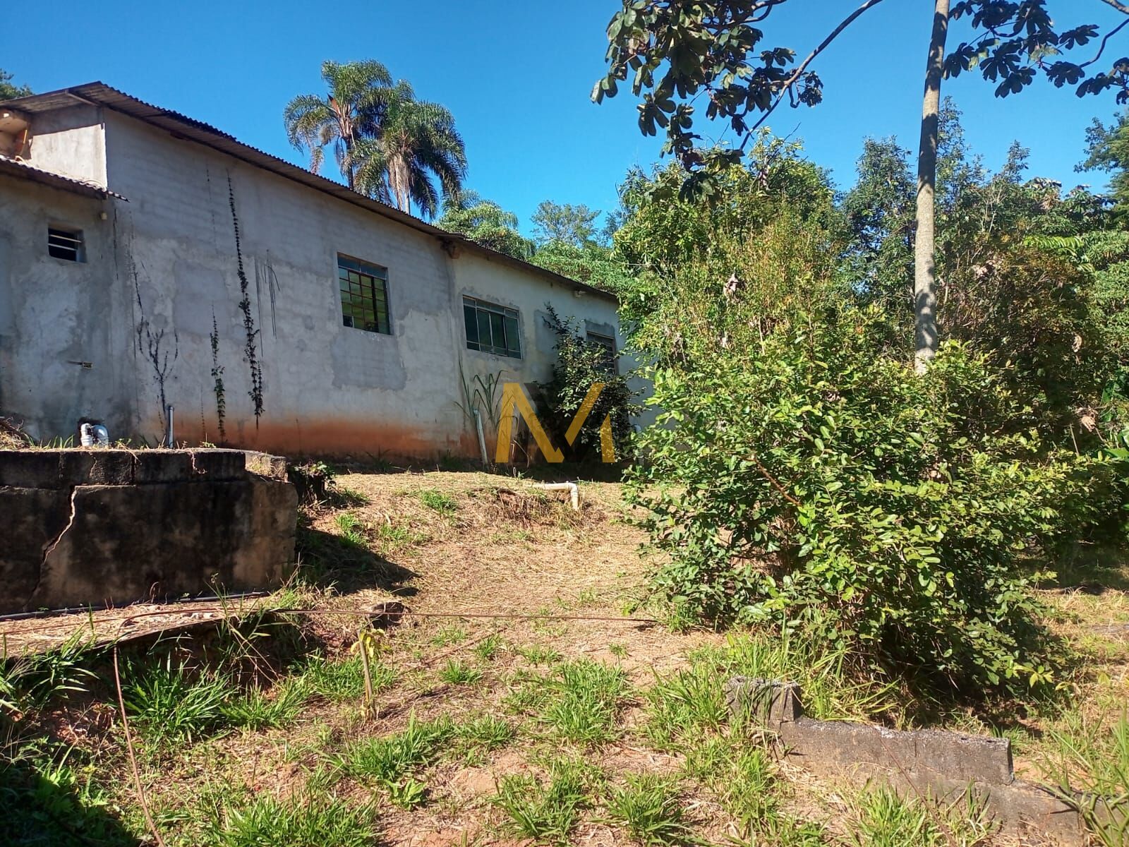 Sítio, 4 quartos, 2610 m² - Foto 29