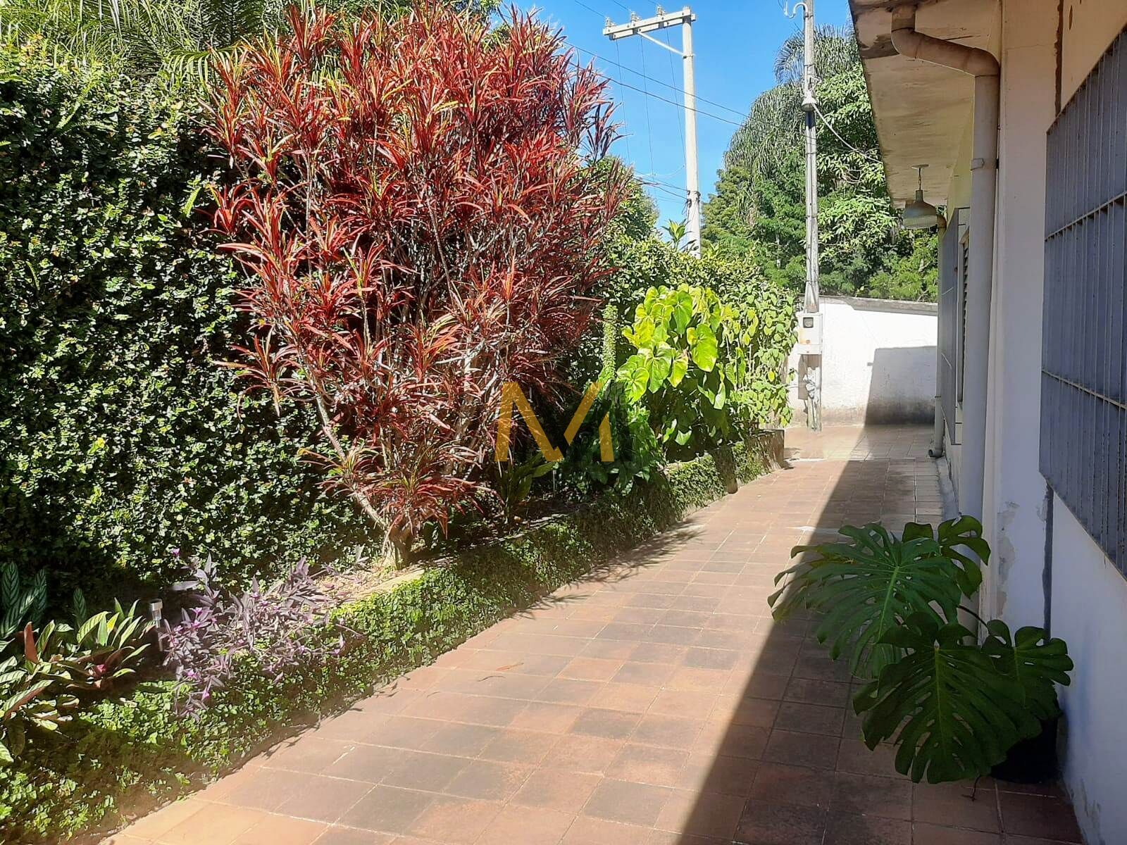 Sítio, 4 quartos, 2610 m² - Foto 16