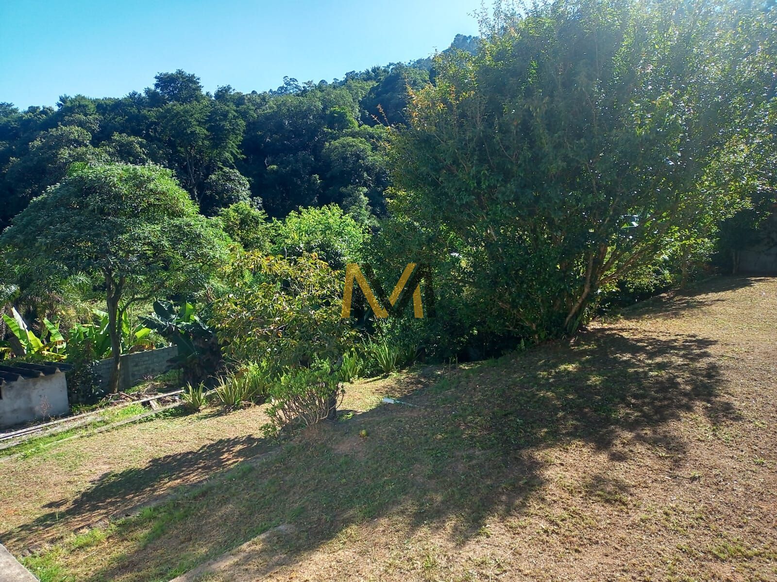 Sítio, 4 quartos, 2610 m² - Foto 32