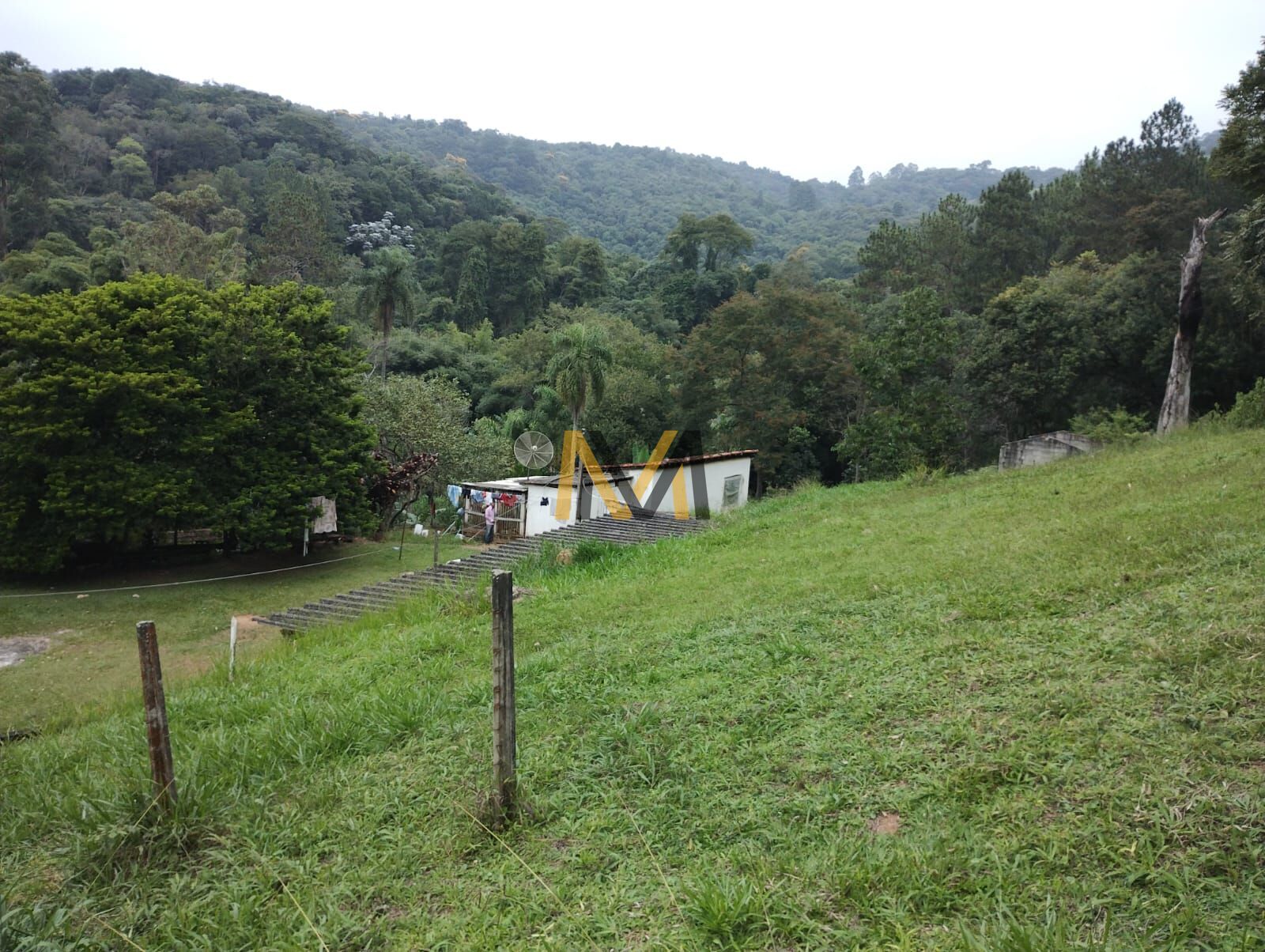 Fazenda à venda com 4 quartos, 48000m² - Foto 10