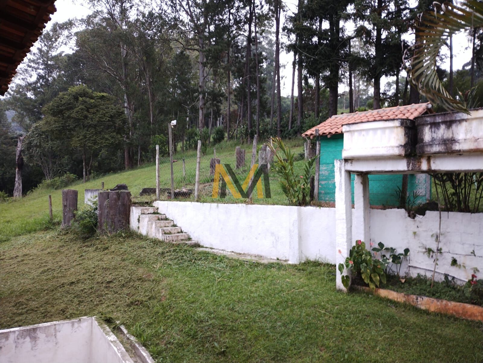 Fazenda à venda com 4 quartos, 48000m² - Foto 9