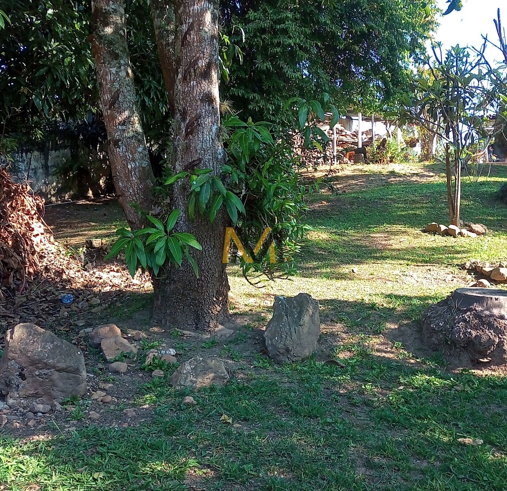 Fazenda à venda com 4 quartos, 8000m² - Foto 22