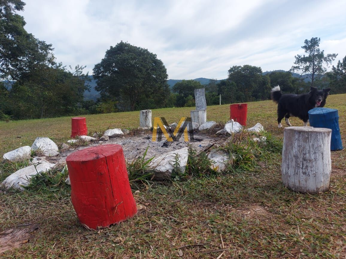 Fazenda à venda com 4 quartos, 40000m² - Foto 14