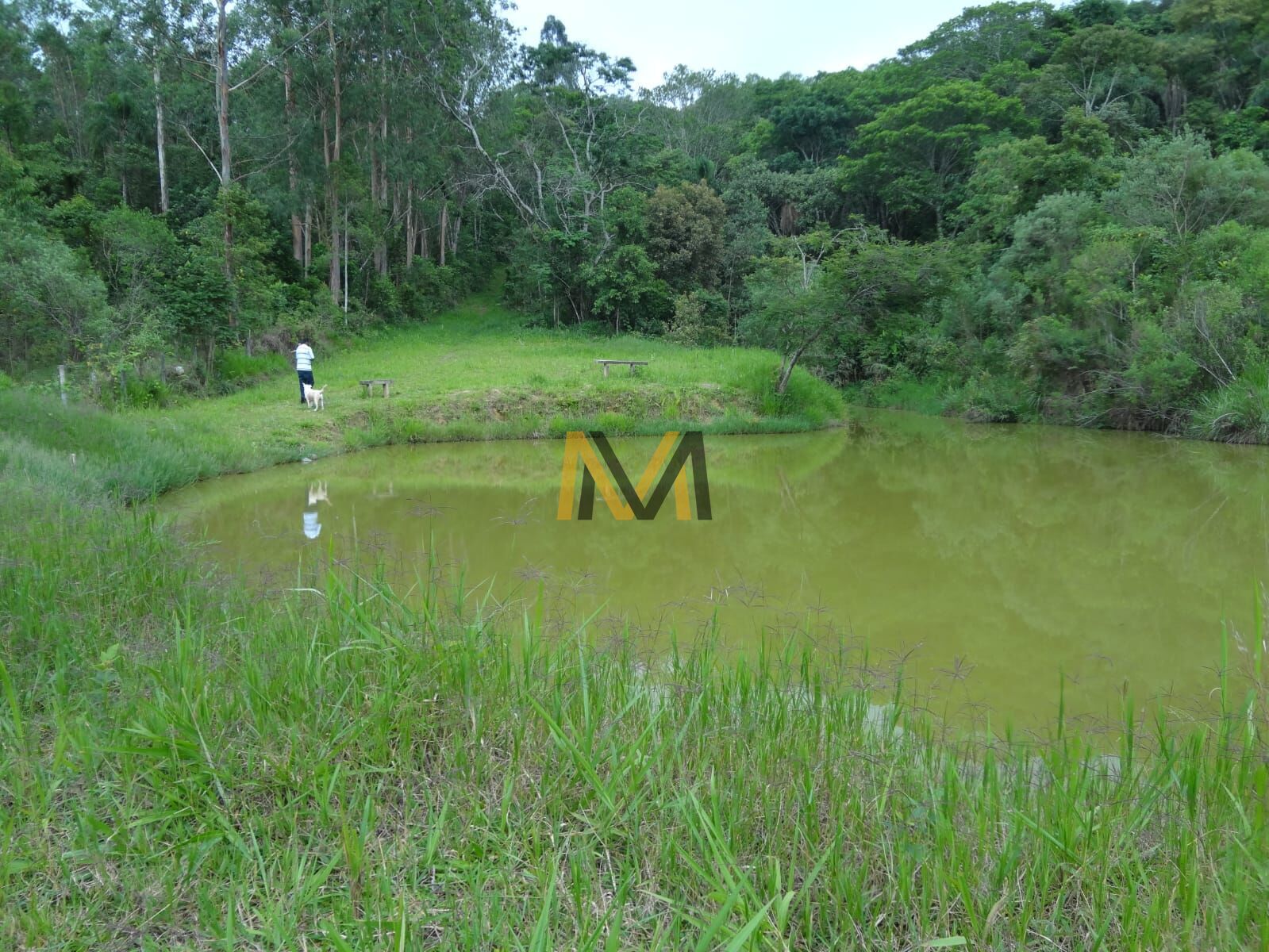 Fazenda à venda com 4 quartos, 40000m² - Foto 11