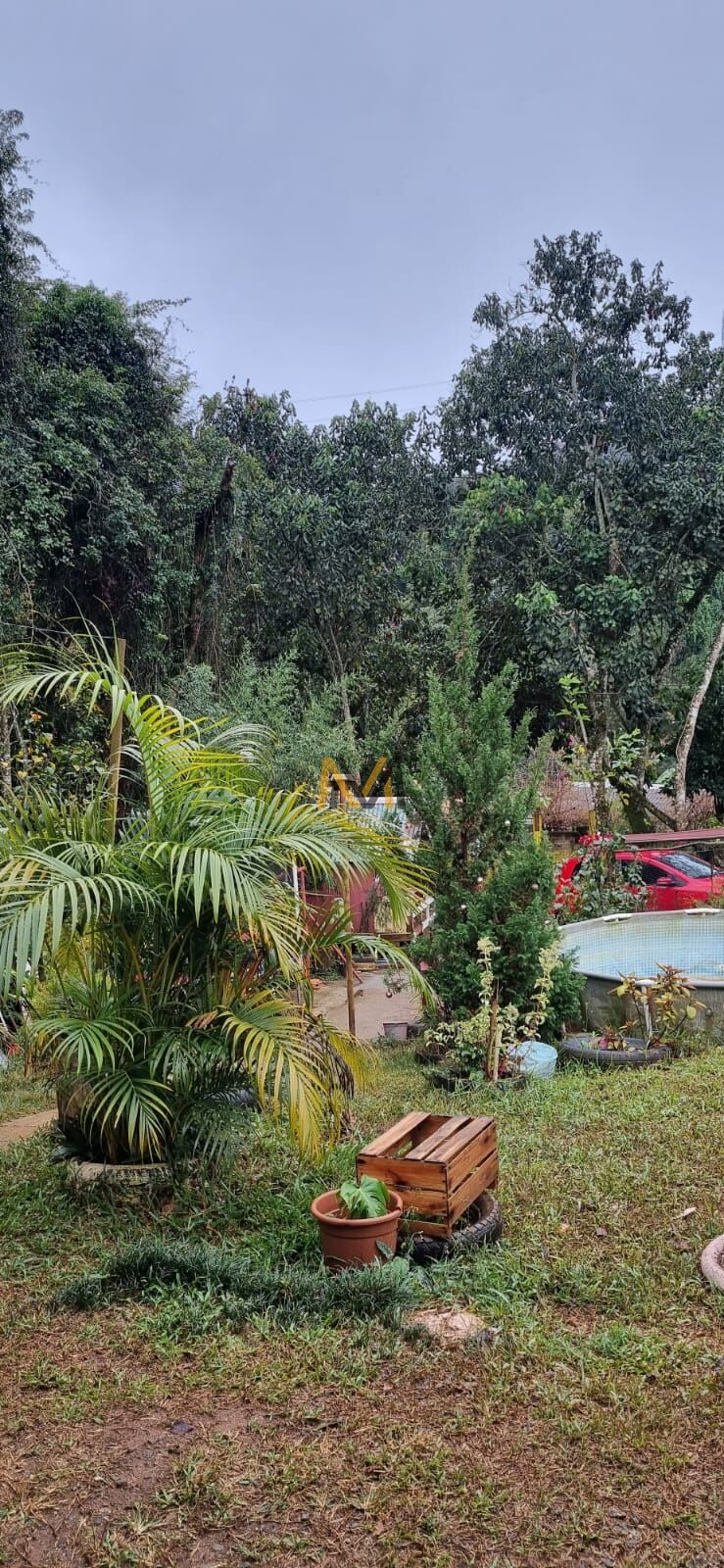 Sítio, 2 quartos, 1100 m² - Foto 4