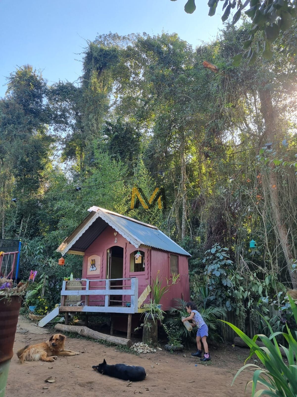 Sítio, 2 quartos, 1100 m² - Foto 16